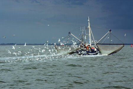 Fishing boat fishing industry cutter photo