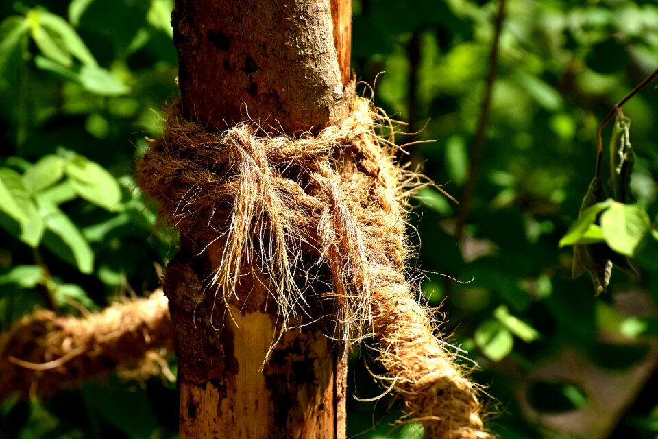 Dew fixing knitting