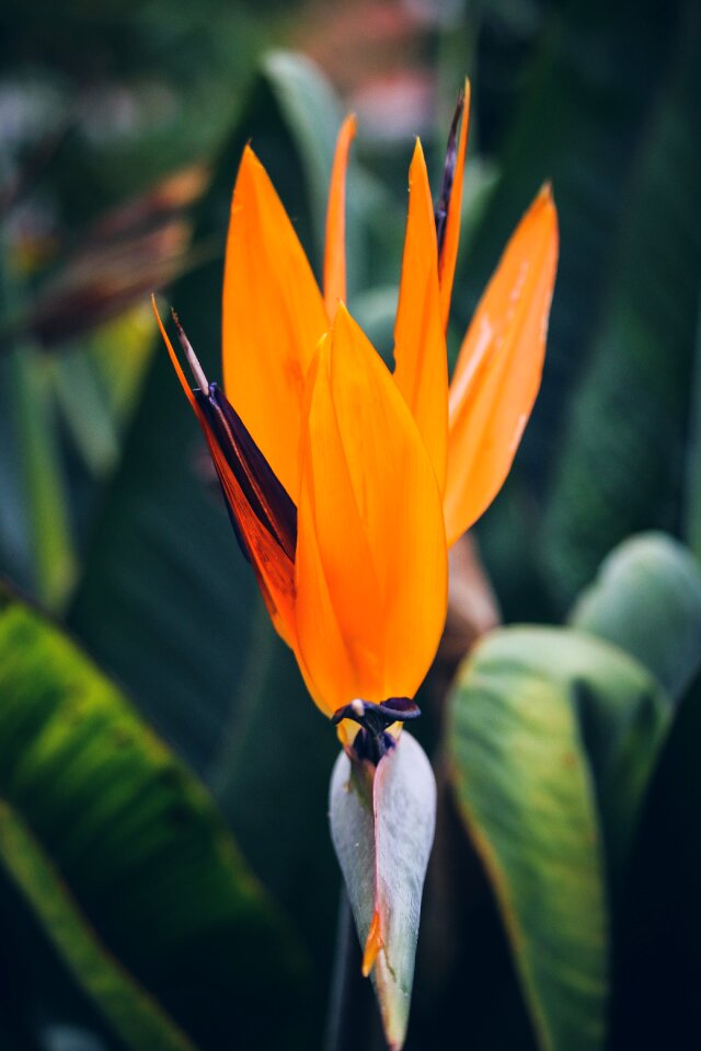 Bright close-up color