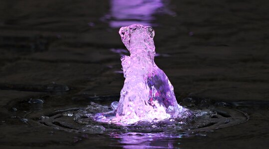 Water games water fountain purple