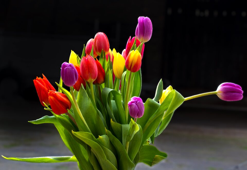 Cut flowers summer flowers colorful
