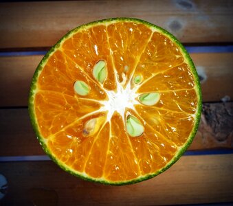White citrus sour