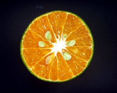 White citrus sour
