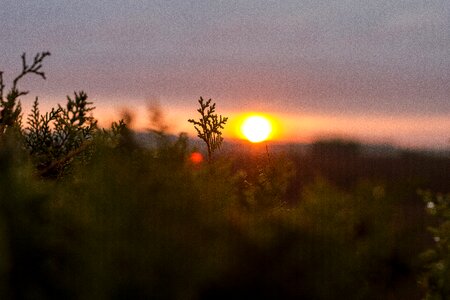 Colors in the evening night lights