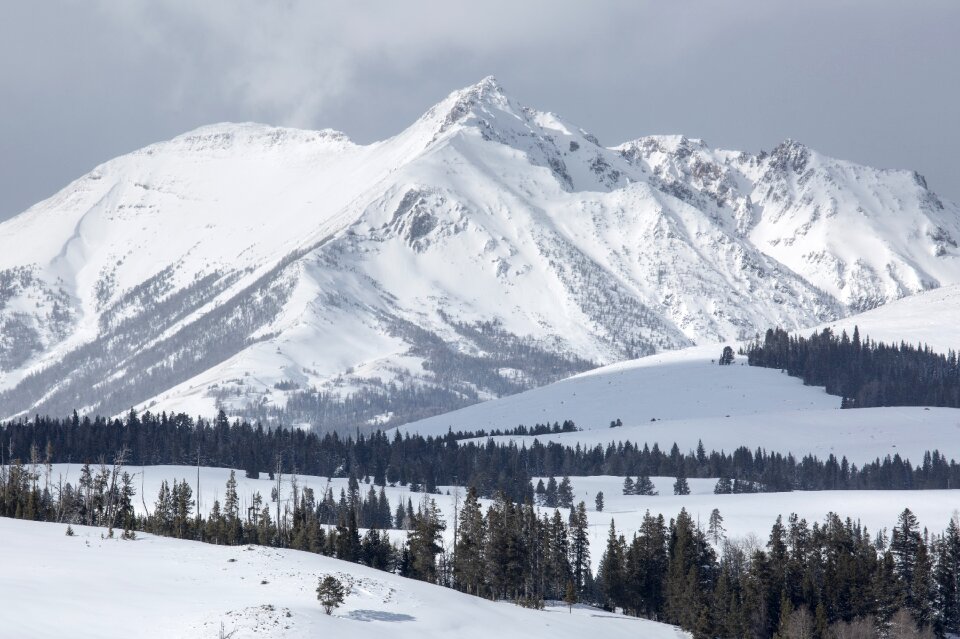 Snow wilderness nature