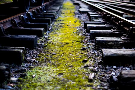 Trainline old moss photo
