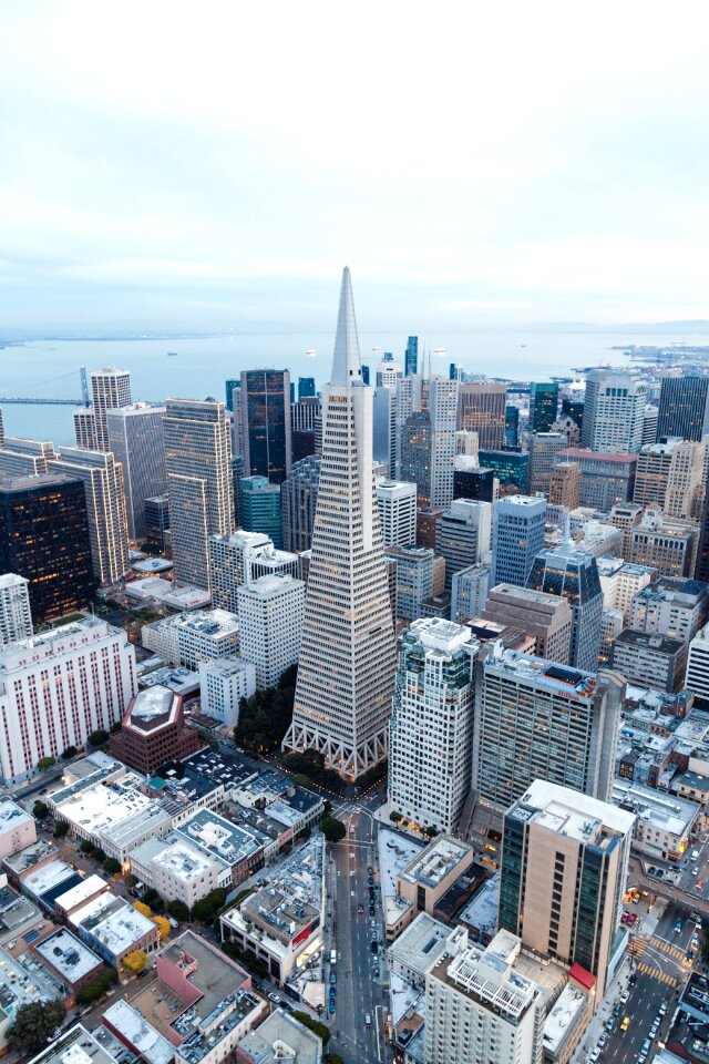 Business city cityscape