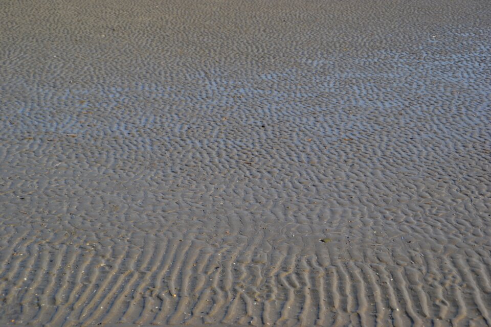 Soil sandy beach texture