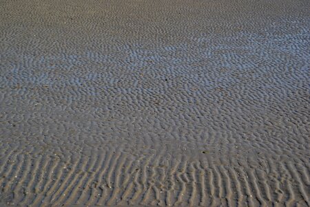 Soil sandy beach texture photo