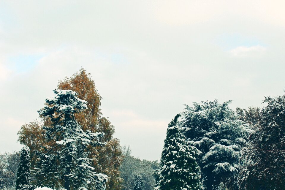 Snow nature landscape