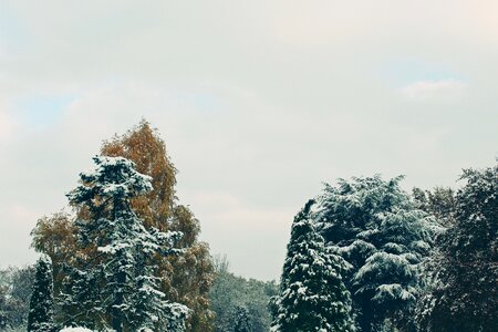 Snow nature landscape