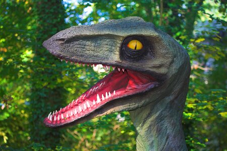 Teeth dinosaur image