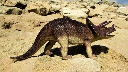 Cretaceous lizard animal photo