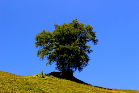 Sky alpe nature