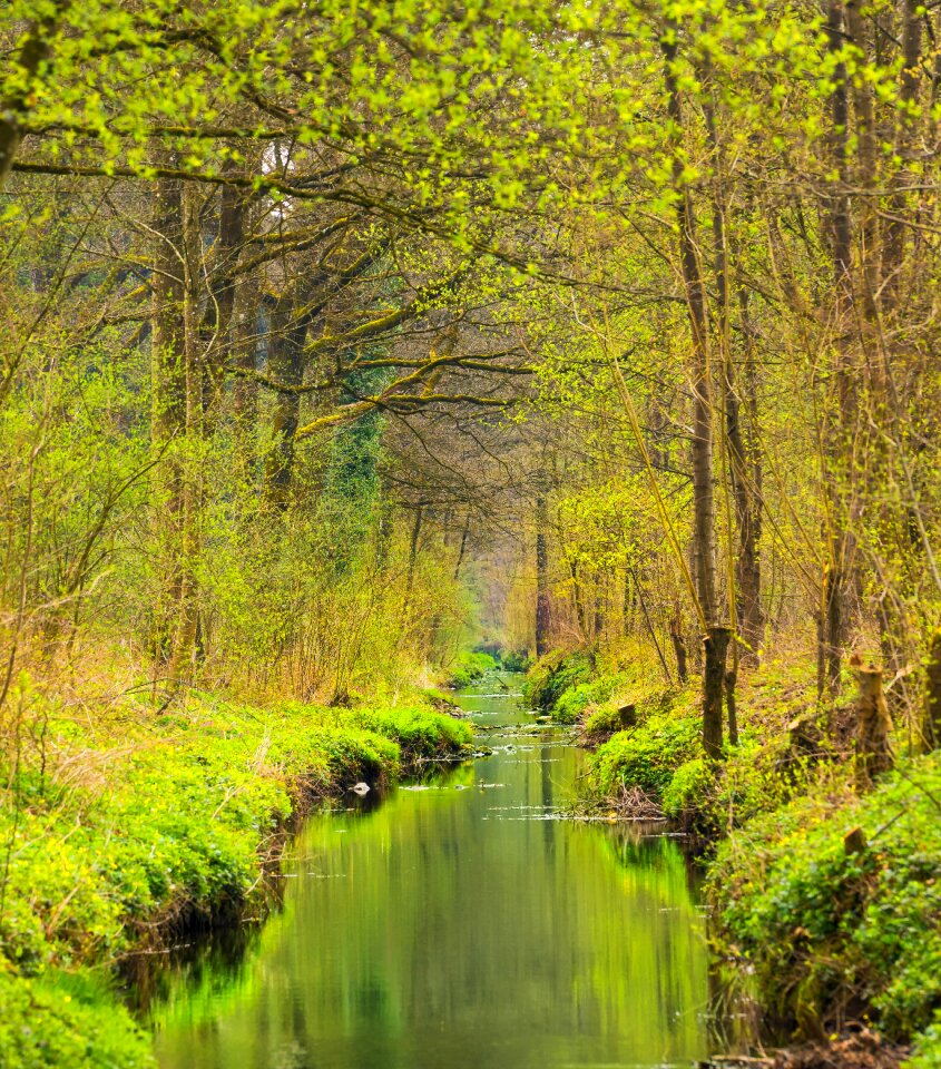 Water landscape natural water