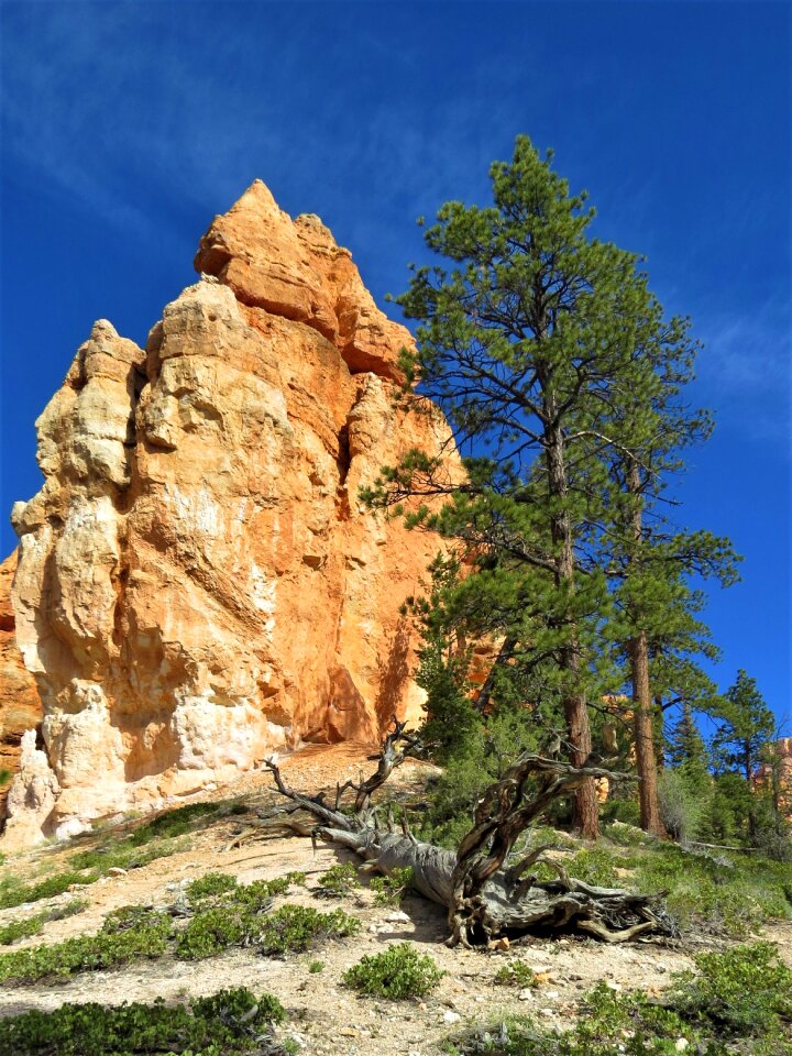Orange national park