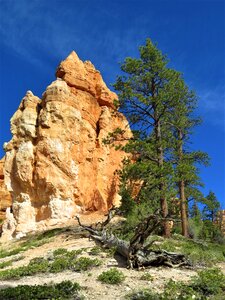 Orange national park