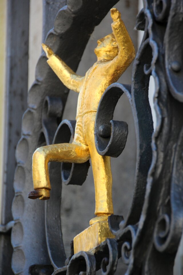 Gold healthy fit