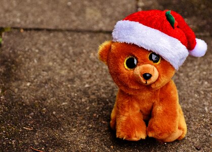 Stuffed animal soft toy santa hat photo