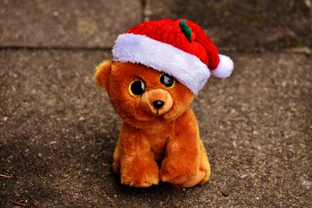 Stuffed animal soft toy santa hat photo