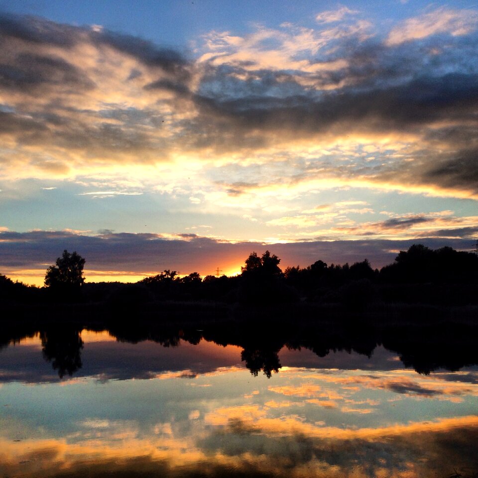 England wildlife scenery