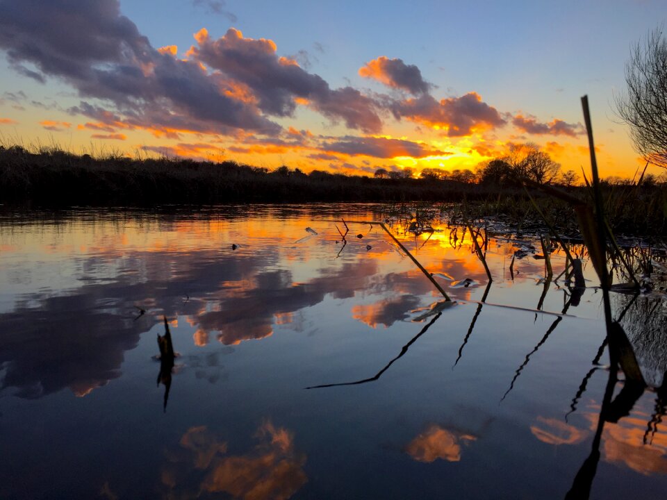 Fishing hickling broad norfolk