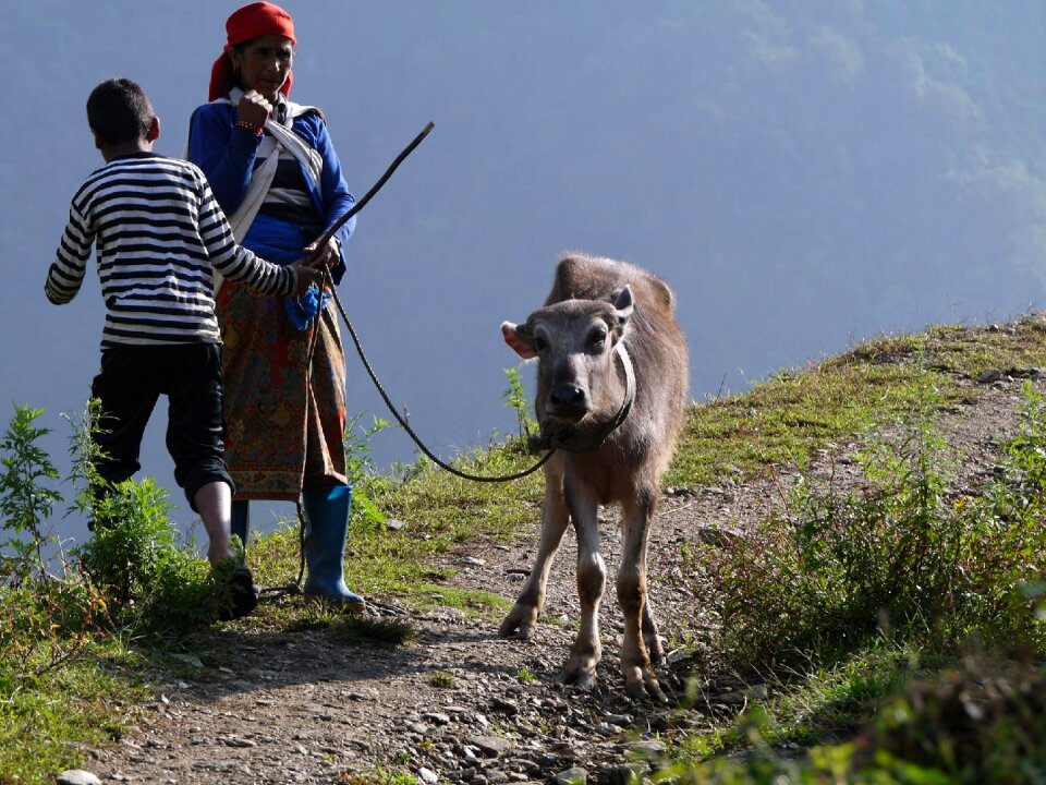 Mountain himalaya adventure photo