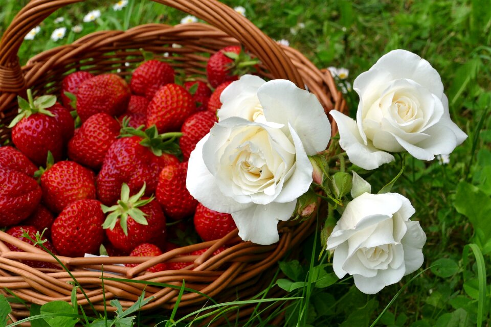 Summer fruits flowers