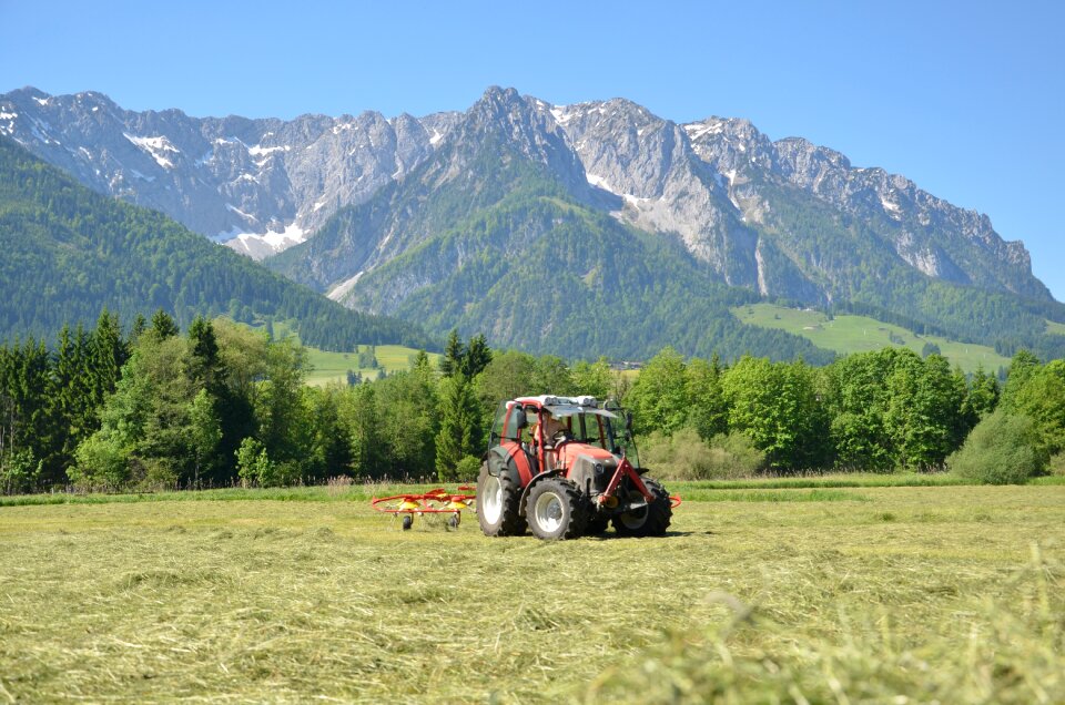 Heuwenden cattle feed hay farming