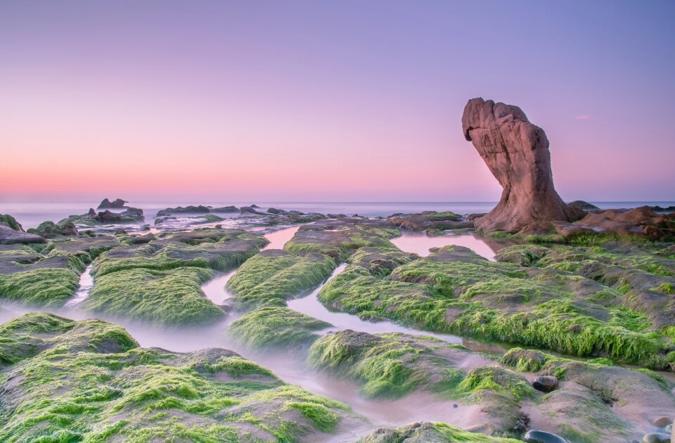 The sea rock coast