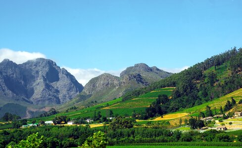 Protestant cap vine mountains