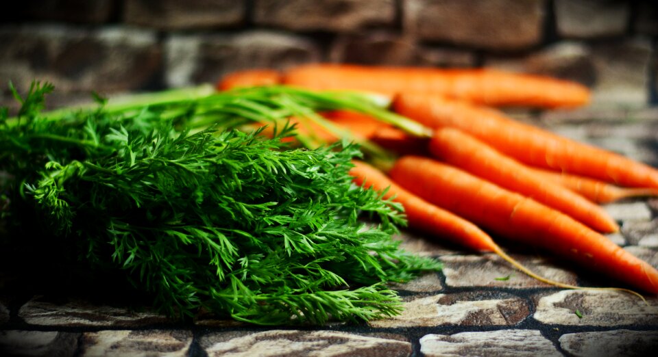 Healthy red carrots federal government