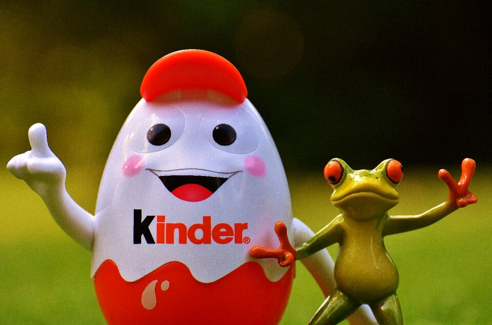 Piggy bank frog funny