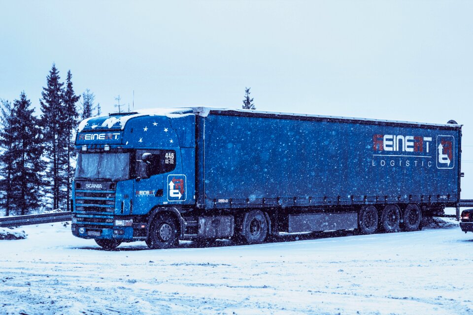 Winter snow white
