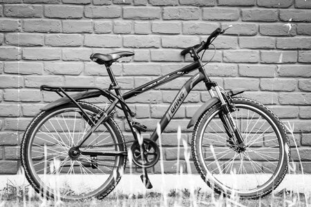 Mountain bike fitness black and white photo