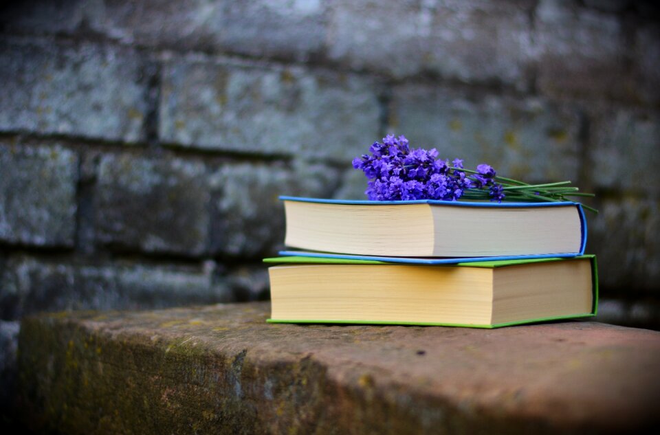 Book learn education