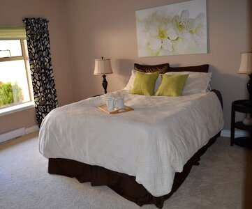 Design white decor