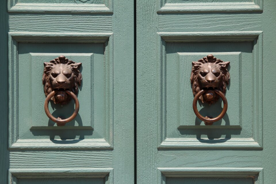 House entrance doorknocker lion