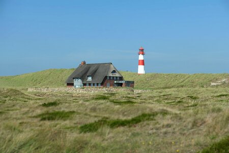 Dunes island sand