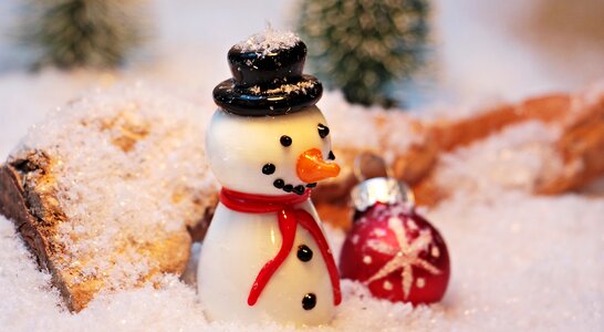 White wintry eismann
