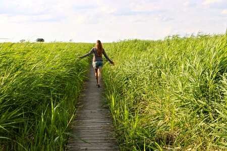 Enjoy grasses nature