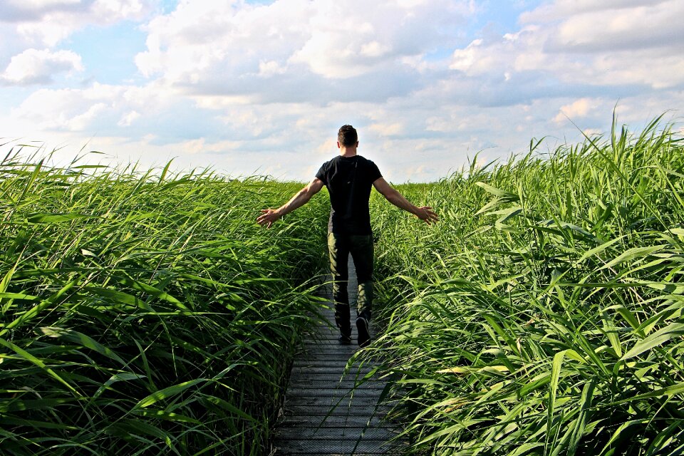 Enjoy grasses nature