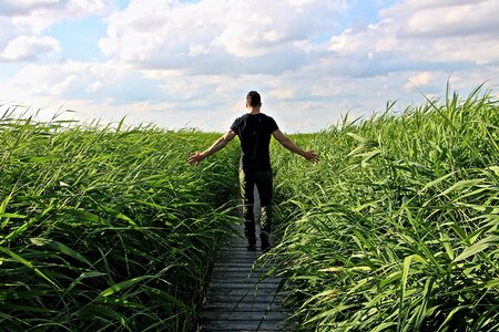 Enjoy grasses nature