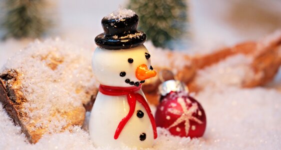 White wintry eismann