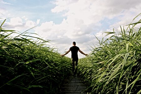 Enjoy grasses nature