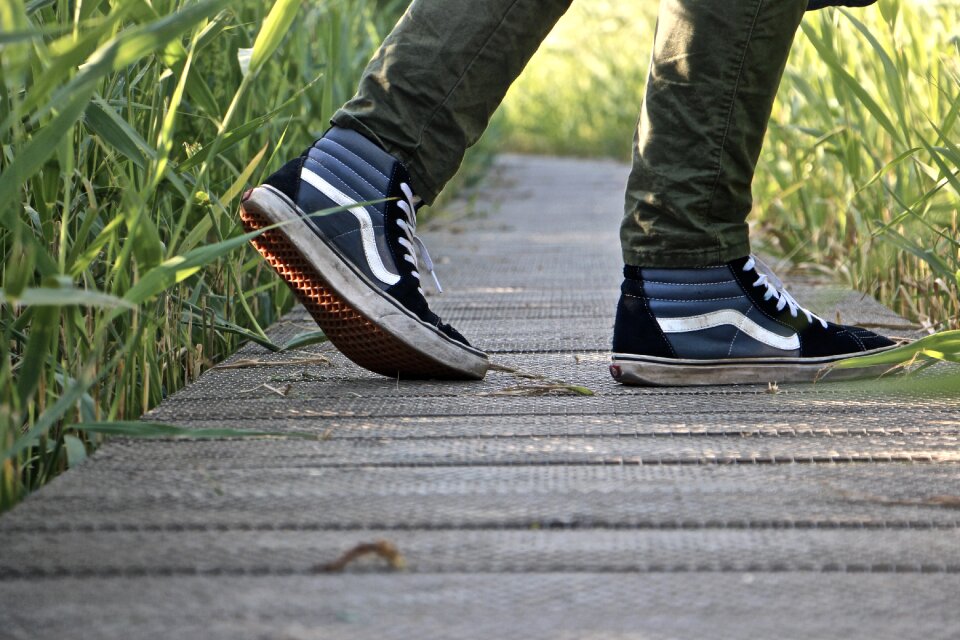 Enjoy grasses nature