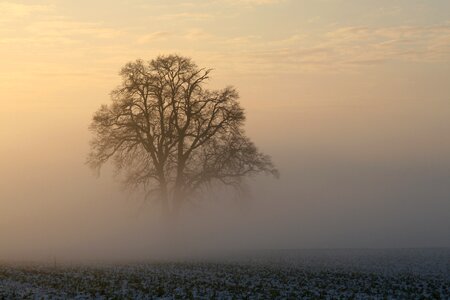 Morning light cold landscape photo