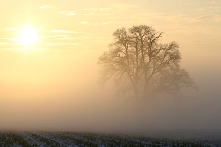 Morning sun morning light cold photo