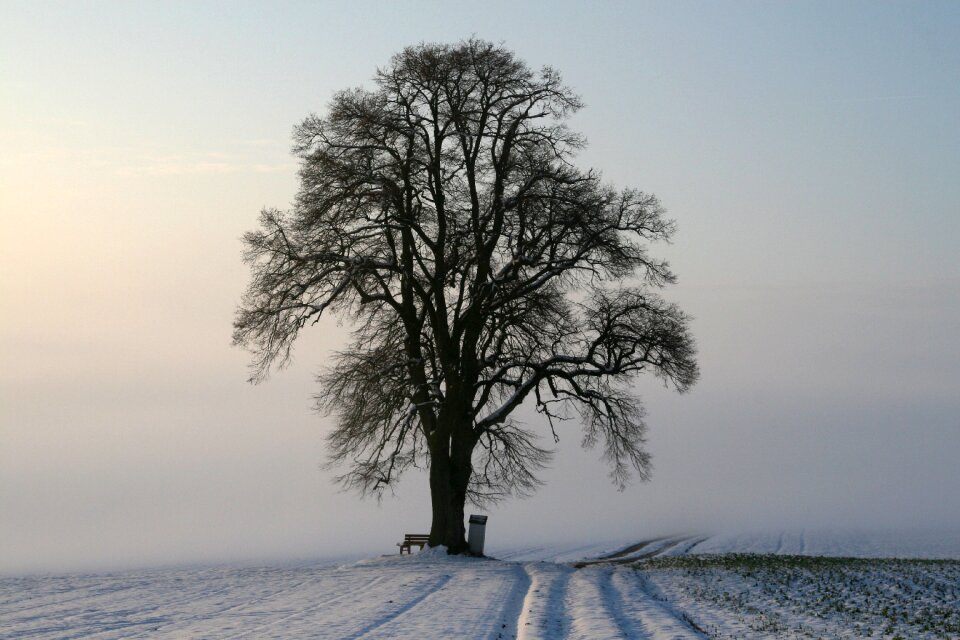 Morning light cold landscape photo