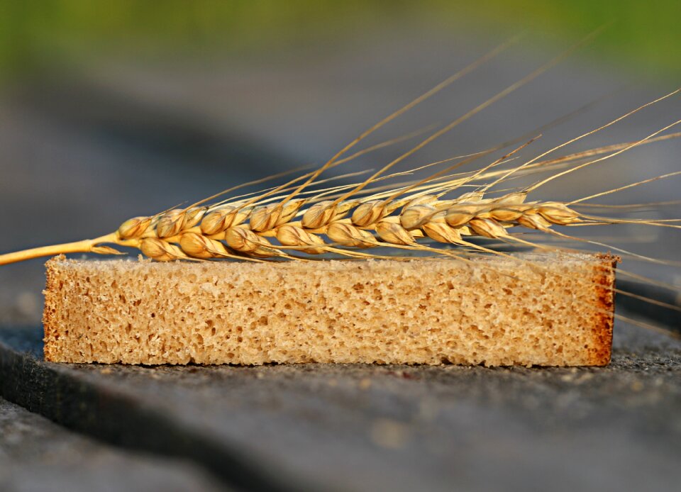 Fertility harvest table